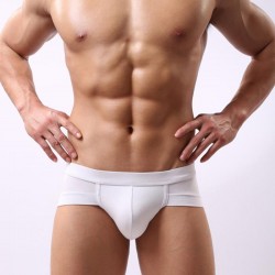 Underpants Men Briefs Underwear Men's Sexy Breathable Brief Modal Comfortable Mens Shorts Cueca Male Panties