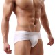 Underpants Men Briefs Underwear Men's Sexy Breathable Brief Modal Comfortable Mens Shorts Cueca Male Panties