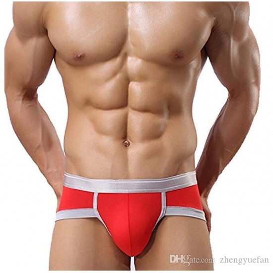 Men's Underwear, Steel Micro Modal Hip Briefs