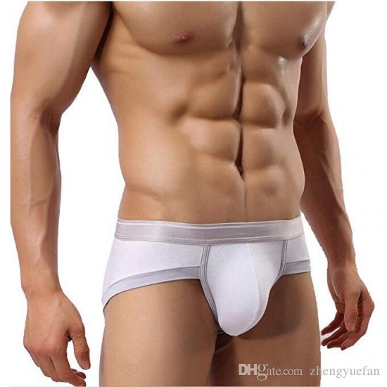 Men's Underwear, Steel Micro Modal Hip Briefs