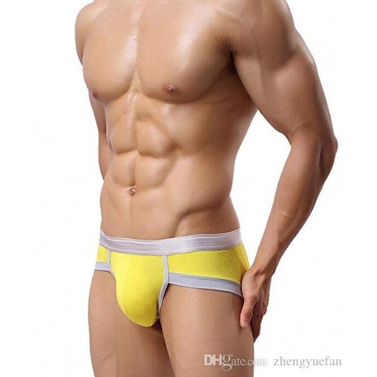 Men's Underwear, Steel Micro Modal Hip Briefs