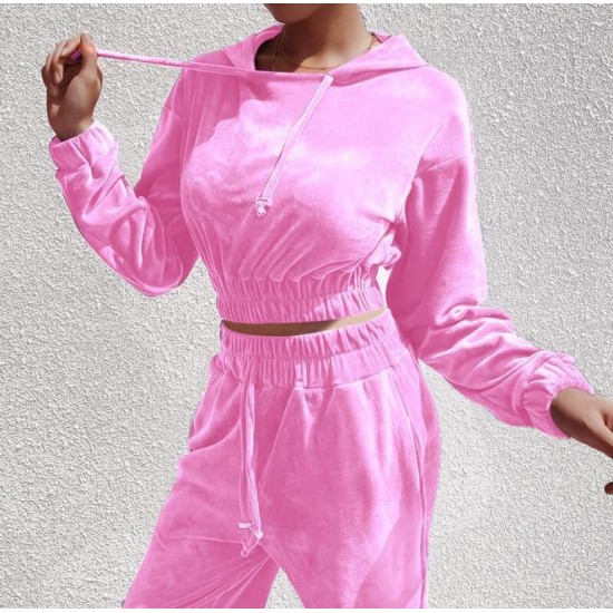 Womens Clothing 2 Piece Set Casual Stand Collar Long Sleeve Women Two Piece Outfits Solid Color Women Tracksuits