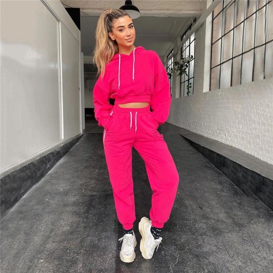 Womens Clothing 2 Piece Set Casual Stand Collar Long Sleeve Women Two Piece Outfits Solid Color Women Tracksuits